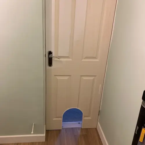 Panelled internal door with a pet flap and wood-effect flooring